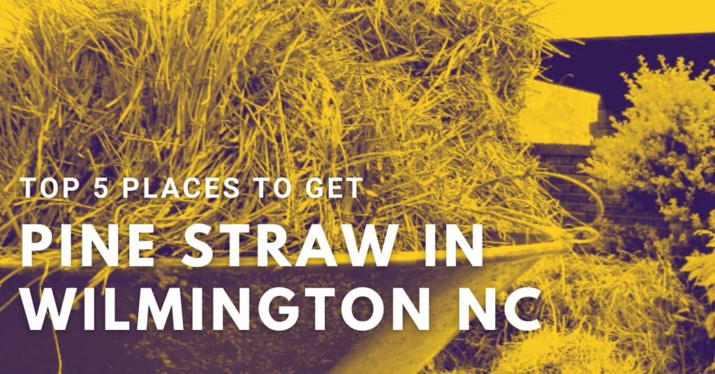 Top 5 Places to Get Pine Straw in Wilmington NC