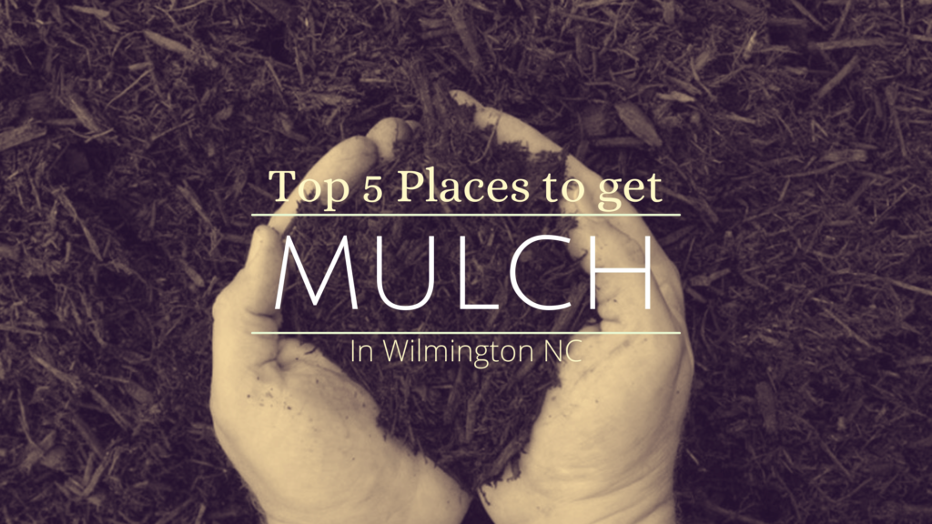 Top 5 Places to Get Mulch in Wilmington NC | Vinedresser Lawn