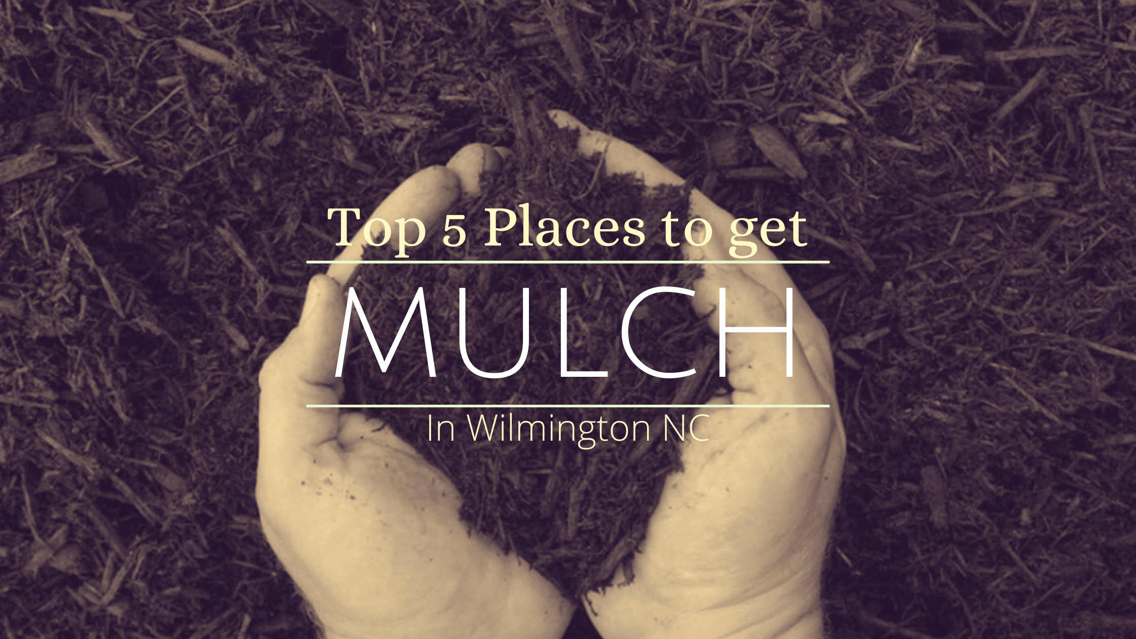 Top 5 Places to Get Mulch