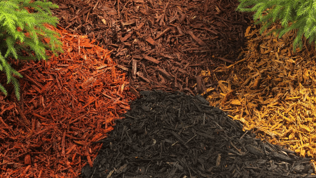 Top 5 Places to Get Mulch in Wilmington NC