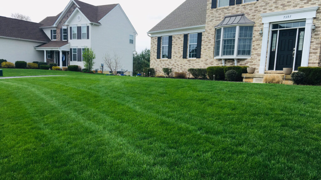 River City Lawn & Landscaping