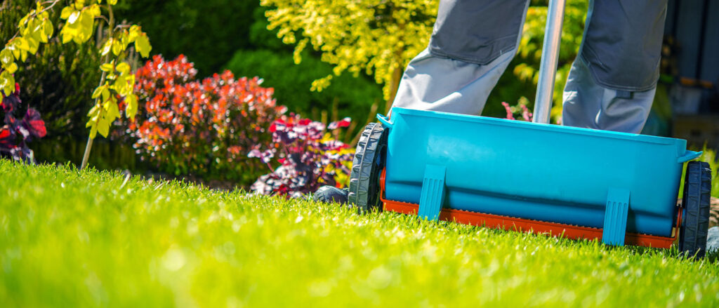 Turf Care & Lawn Health Services in Wilmington, Leland, Hampstead & Nearby NC Areas