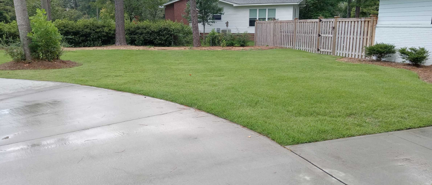 landscaper in wilmington nc 2