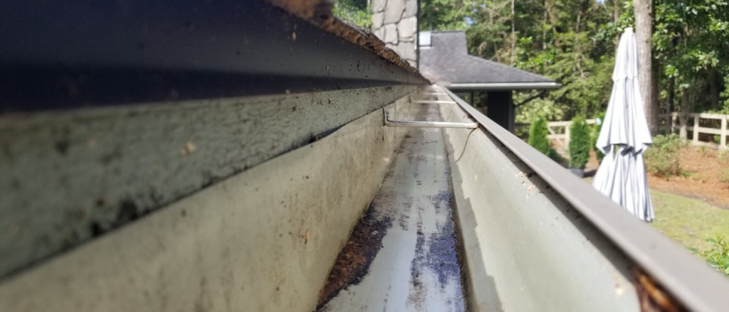 Gutter Cleaning Services