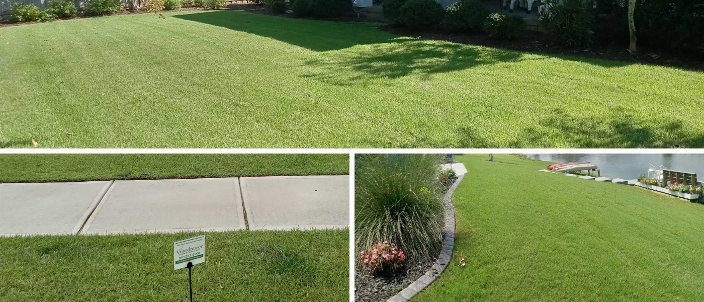 lawn care in Wilmington NC