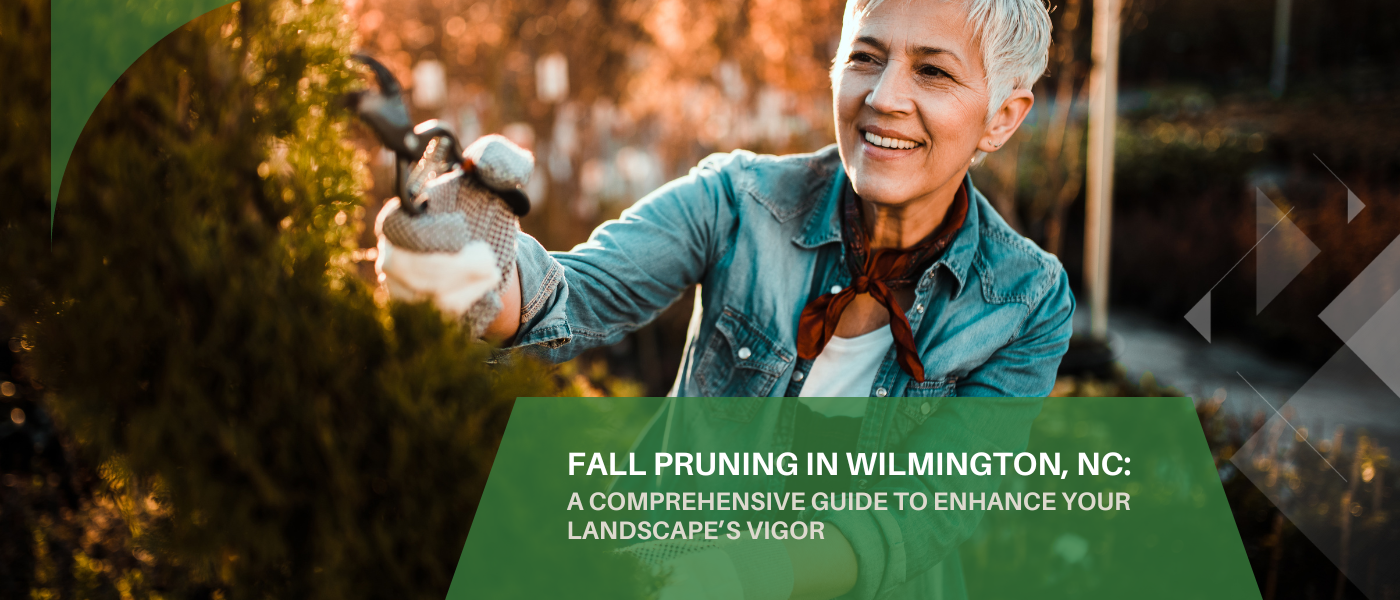 Fall Pruning in Wilmington NC