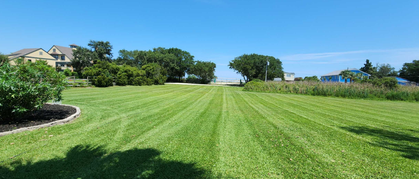 Lawn Fertilization in Wilmington NC