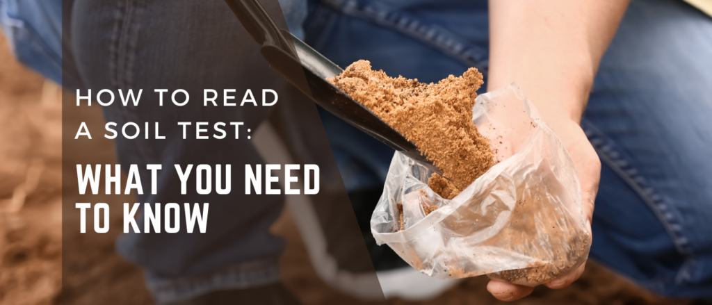 How to Read a Soil Test