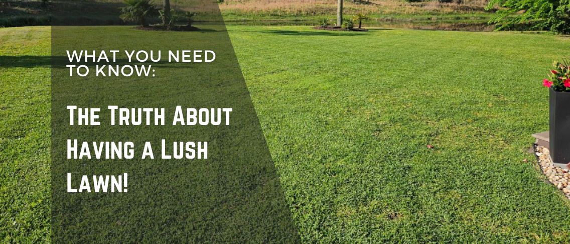 The Truth About Having a Lush Lawn