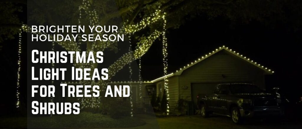 Christmas Light Ideas for Trees and Shrubs: Brighten Your Holiday Season