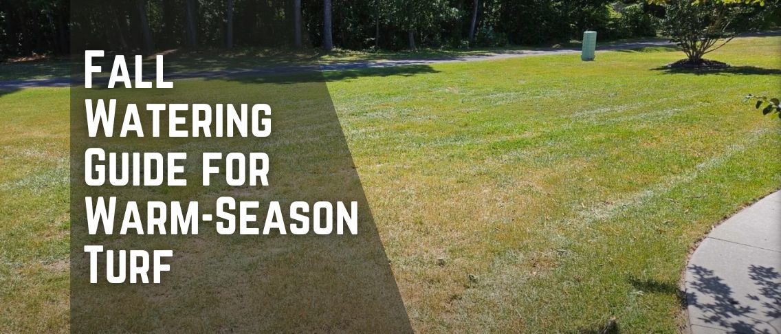 Fall Watering Guide for Warm-Season Turf: .6 Inches of Water Per Week