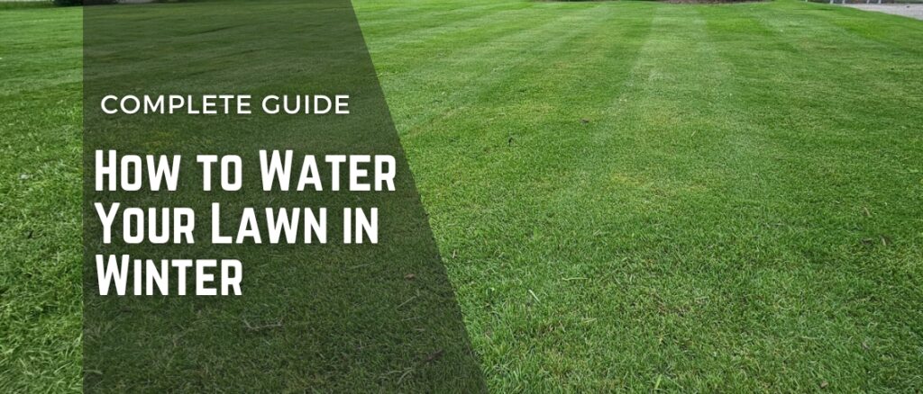 How to Water Your Lawn in Winter: Complete Guide