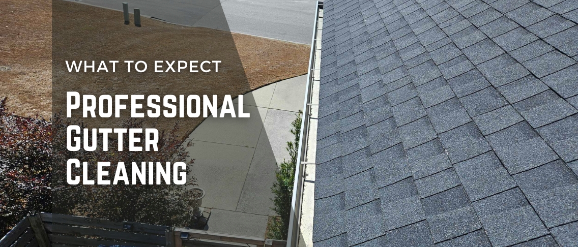 Professional Gutter Cleaning: What to Expect