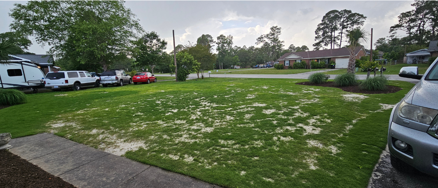 Topdressing-Lawn-Leveling-Wilmington-NC-1.