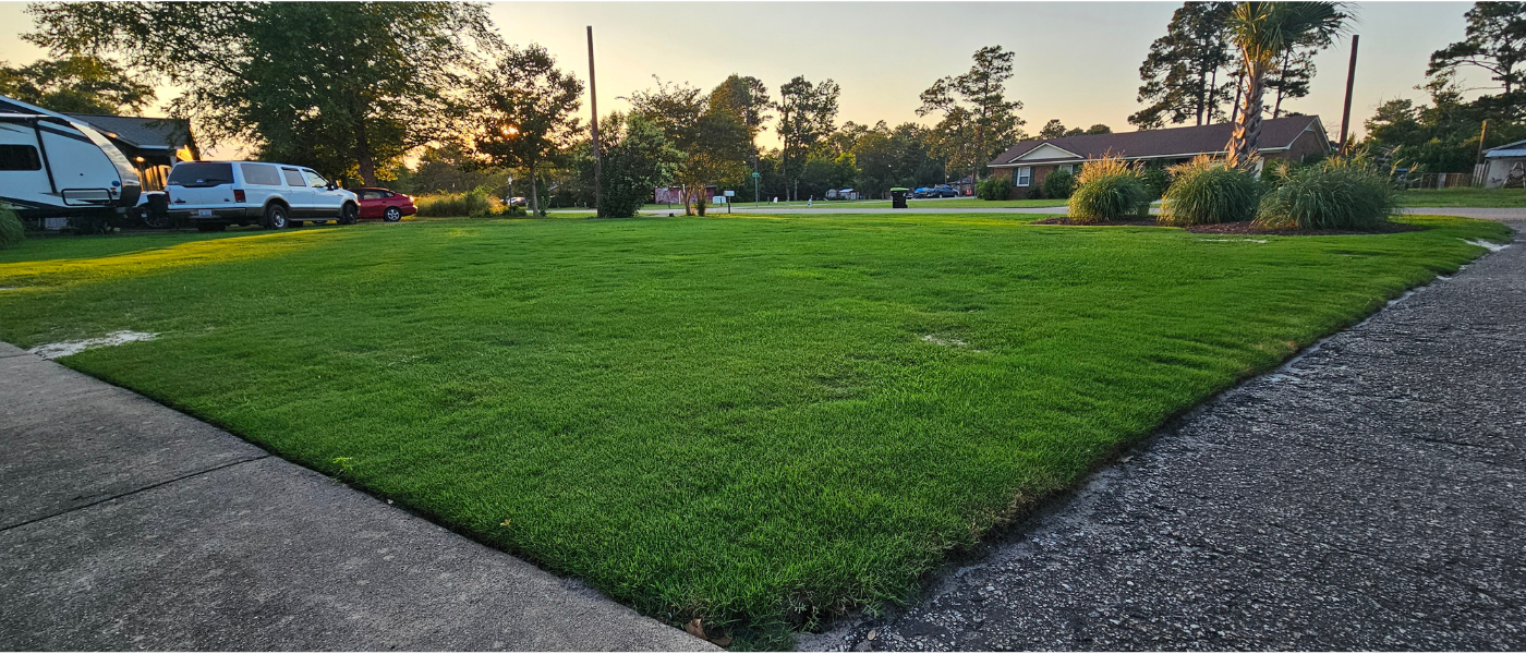 Topdressing-Lawn-Leveling-Wilmington-NC-3.