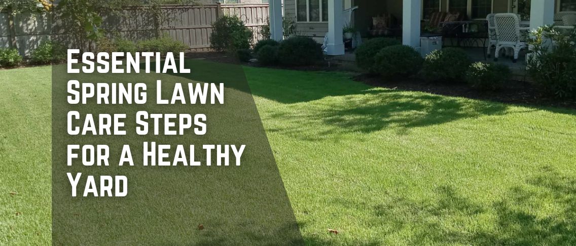 Essential Spring Lawn Care Steps for a Healthy Yard