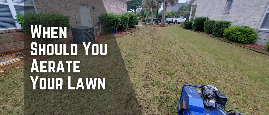 When Should You Aerate Your Lawn